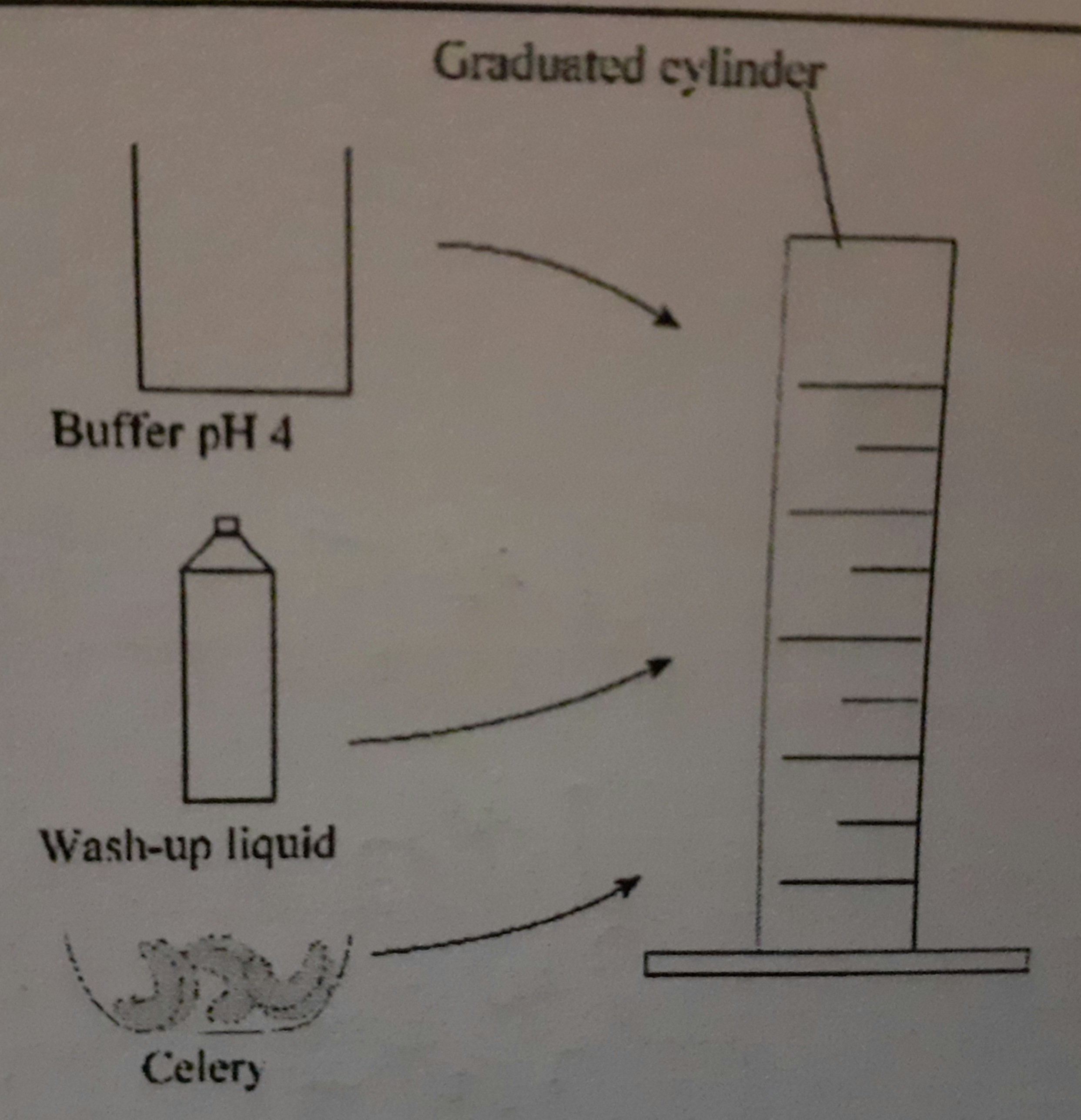 Labelled Diagram 1