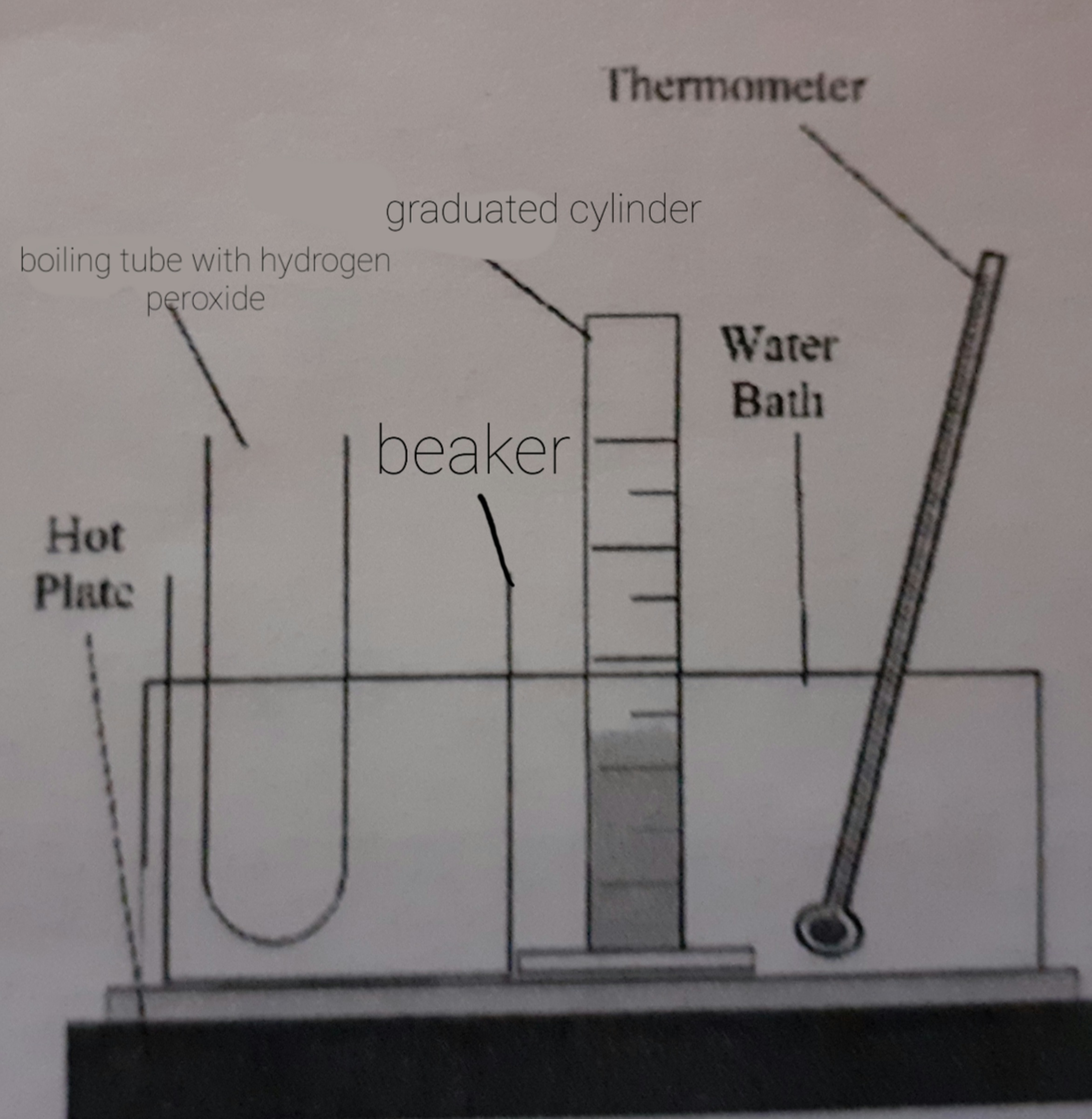 Labelled Diagram 2