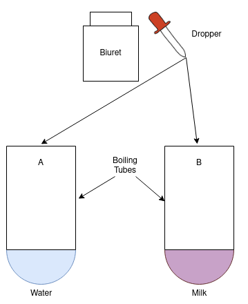 Labelled Diagram