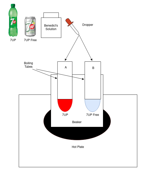 Labelled Diagram