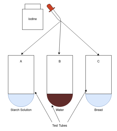 Labelled Diagram