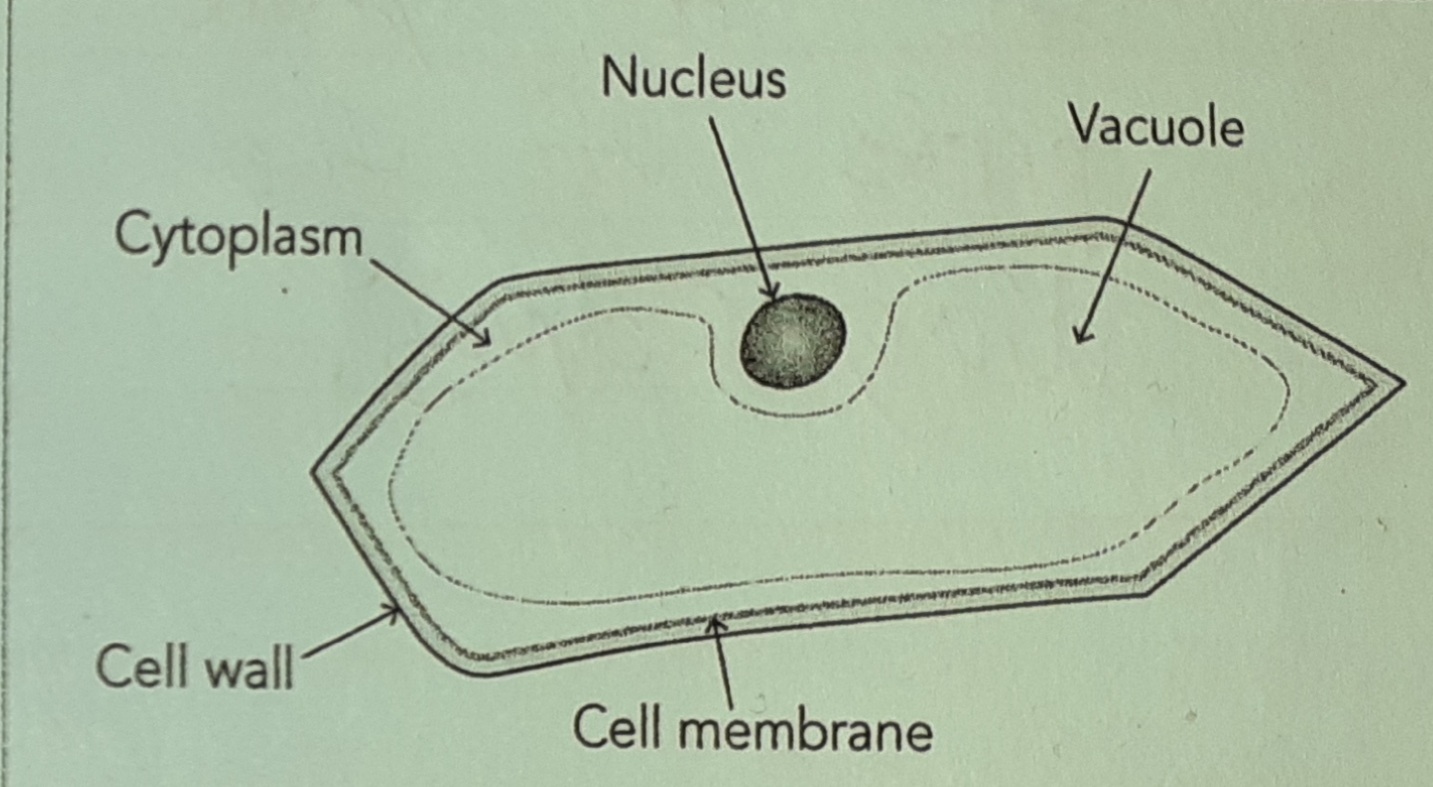 Labelled Diagram 2