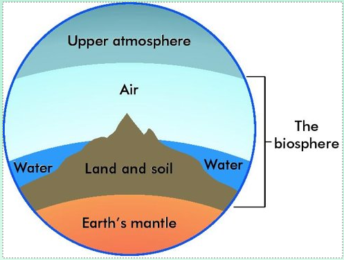 Biosphere