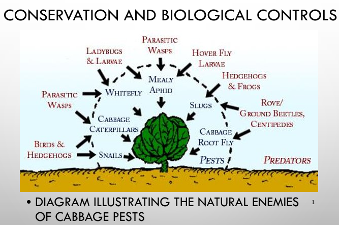 Conservation and Biological Controls