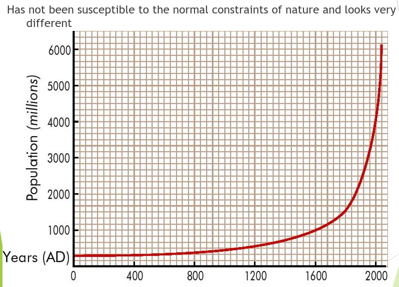 Human Population Curve