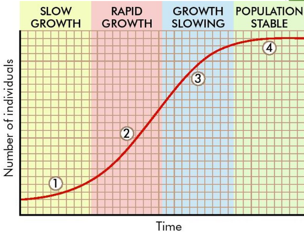 Normal Population Curve