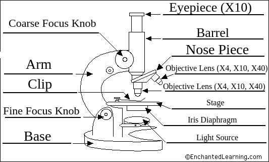 Microscope 1