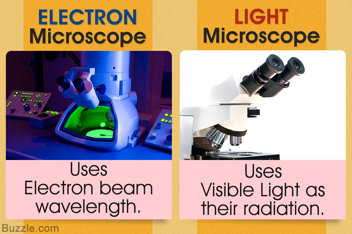 Microscope 2