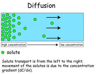 Diffusion 4