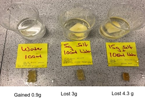 Artificial semi-permeable membranes