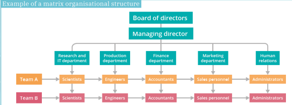 Example of a matrix organisation structure